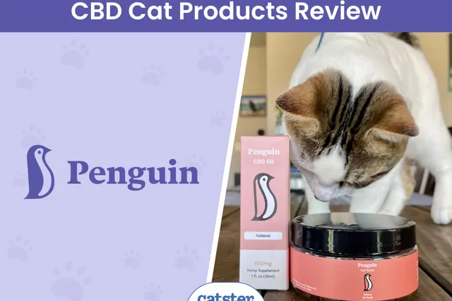 Penguin CBD Cat Supplement Review 2026: A Detailed Look