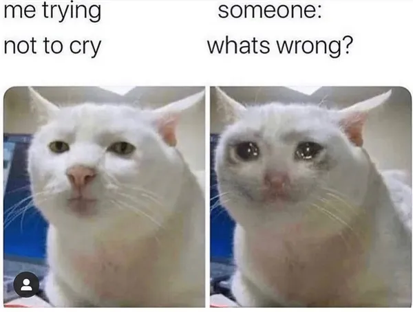Trying Not to Cry Kitty