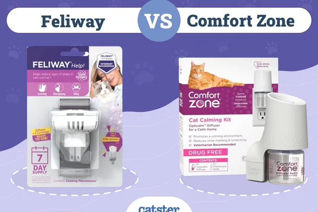 Feliway vs Comfort Zone: Which Pheromone Is Better?