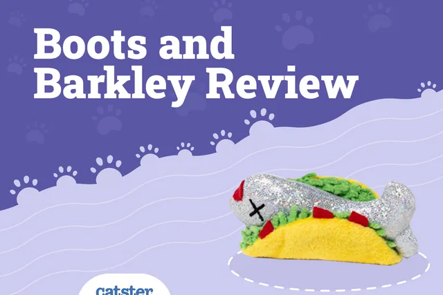 Boots and Barkley Cat Toys Review: Are They Right For My Cat?