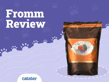 Fromm Cat Food Review of 2026: Recalls, Pros & Cons