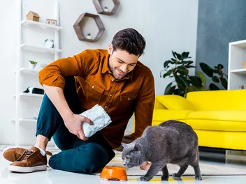 16 Great Cat Gifts for Him in 2026 - Fun Options for the Cat Guy in Your Life