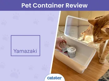 Yamazaki Airtight Pet Container Review 2026: Our Expert’s Opinion