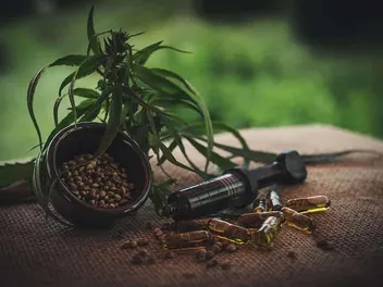 CBD for Cats: Pros, Cons, Uses & Safety (2026 Update)