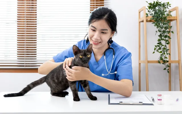 National Pet Wellness Month 2026: When Is It & Health Tips