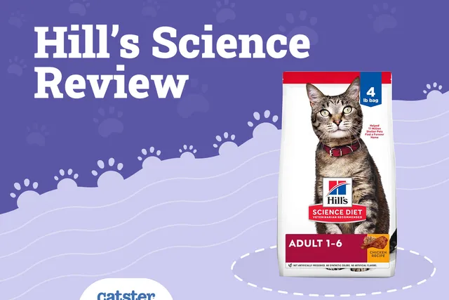 Hill’s Science Diet Cat Food Review in 2026: Recalls, Pros & Cons