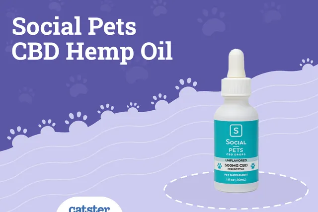 Social Pets CBD Hemp Oil Review (2026): Pros, Cons & Verdict