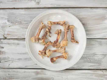 Vets Reveal the Scary Truth About Cats and Chicken Bones
