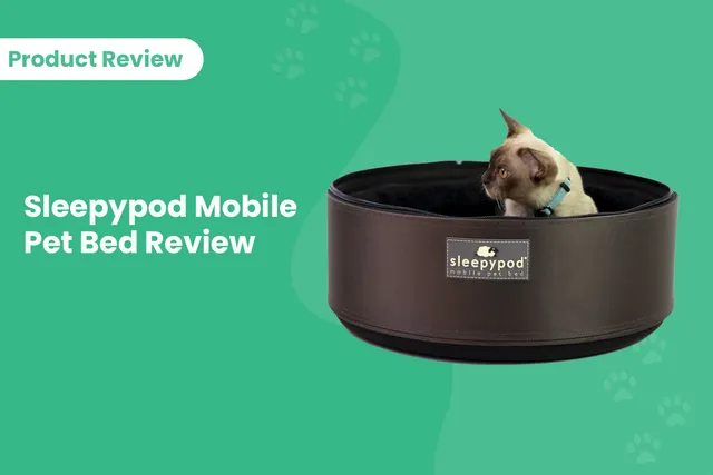 Sleepypod Mobile Pet Bed: 2026 Review