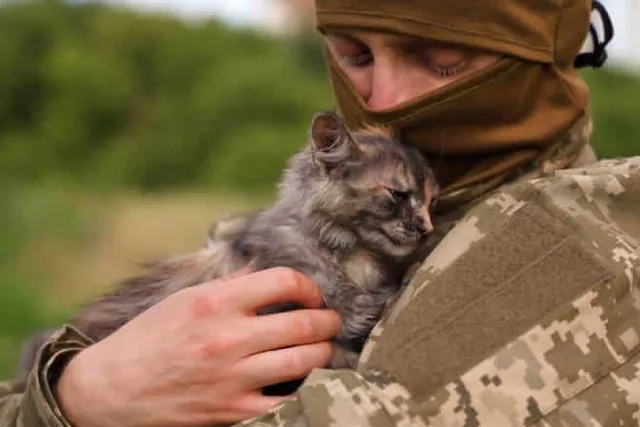 Help for Soldiers’ Pets: Guardian Angels & Other Pawesome Organizations