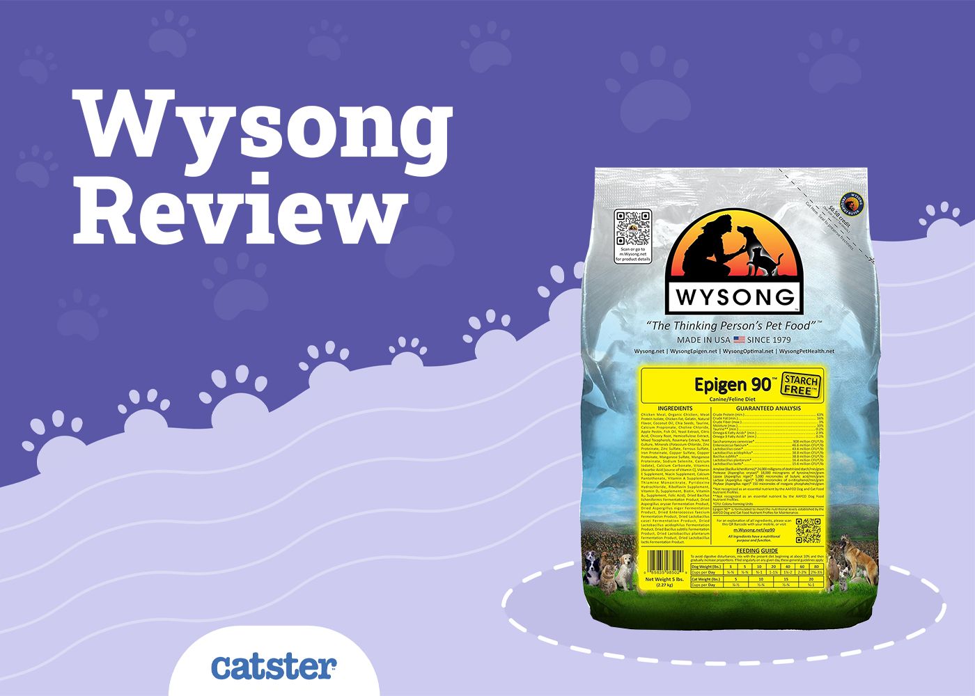 Wysong Cat Food Review