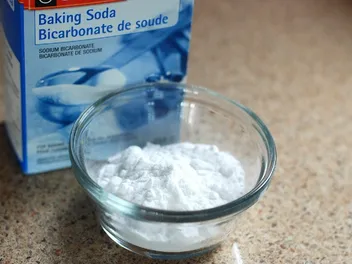 Does Baking Soda Kill Fleas on Cats? Vet-Approved Effectiveness & FAQ