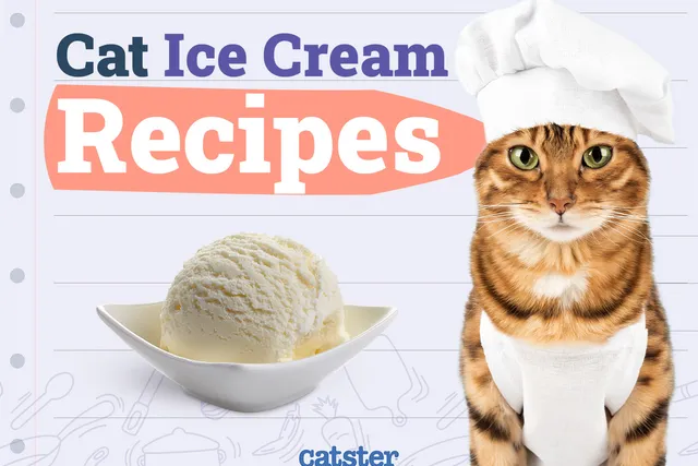 5 Homemade Cat Ice Cream Recipes (Vet-Approved)