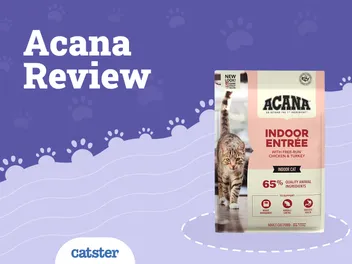 Acana Cat Food Review 2026: Recalls, Pros & Cons