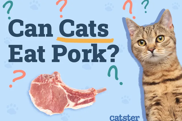 Can Cats Eat Pork? Vet-Verified Facts & FAQ
