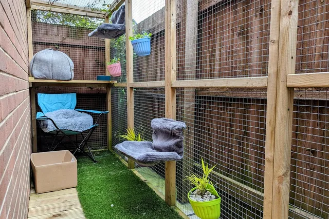 Creating Outdoor Spaces for Indoor Cats: Dr Karyn's Catio (with Video)
