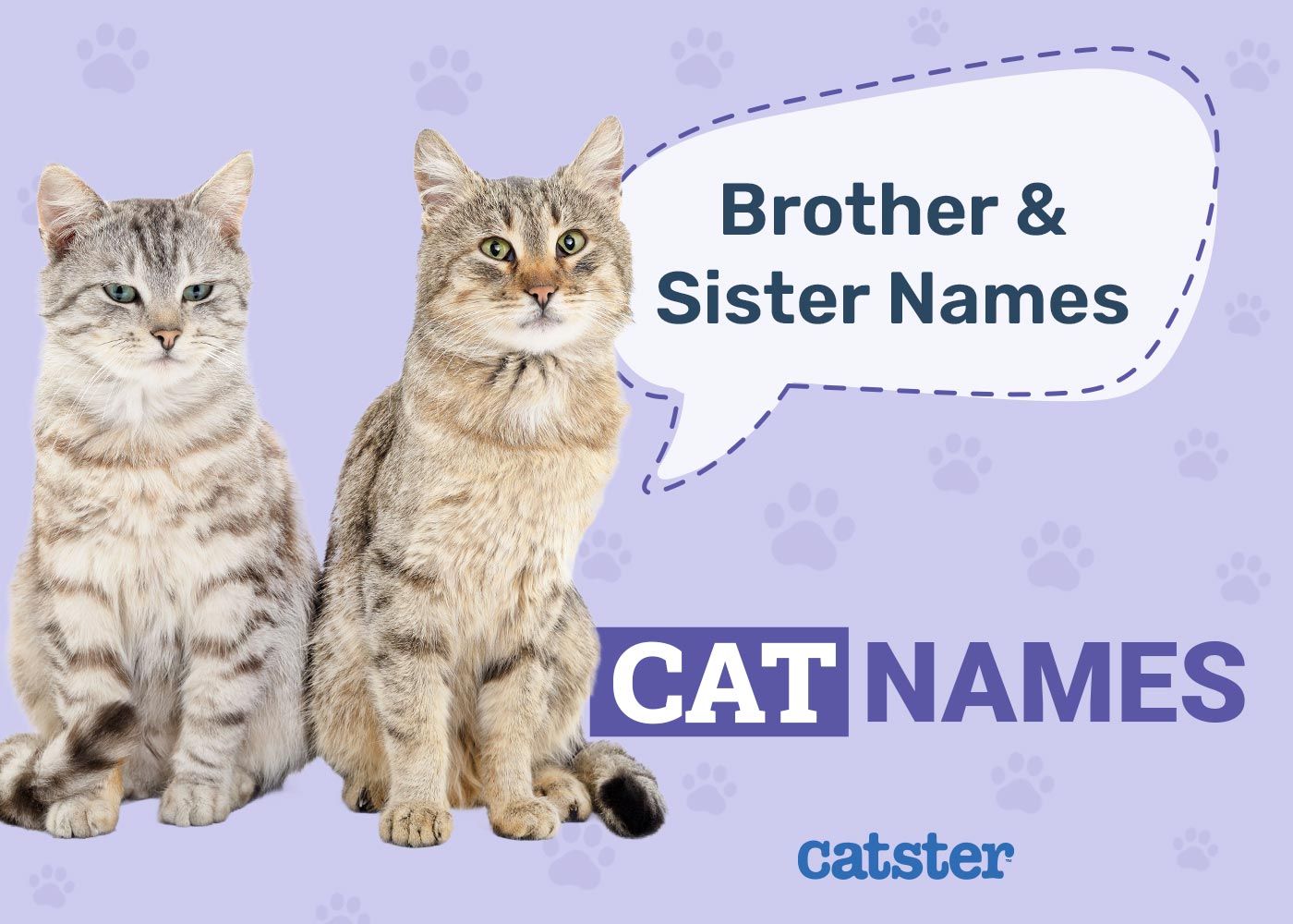 Brother and Sister Cat Names