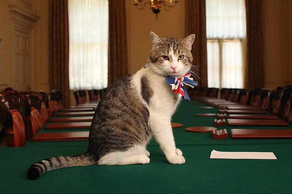 Larry Chief Mouser