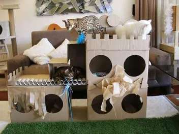 8 DIY Indoor Cat House Plans You Can Make Today (With Pictures)