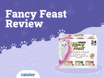Fancy Feast Cat Food Review in 2026: Recalls, Pros & Cons