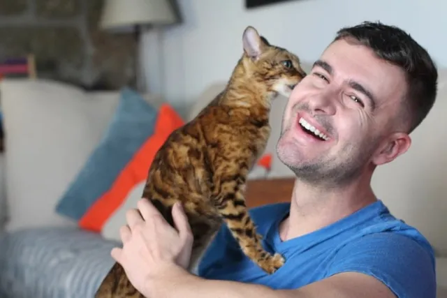 Why Does My Cat Lick My Ear? 3 Vet-Reviewed Possibilities