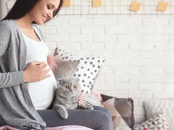 Why Do Cats Attack Pregnant Women? 9 Safety Tips