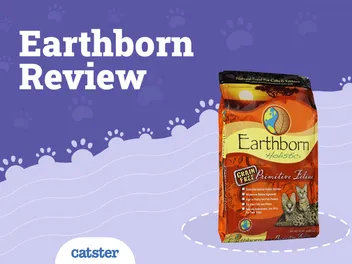 Earthborn Cat Food Review of 2026: Recalls, Pros & Cons