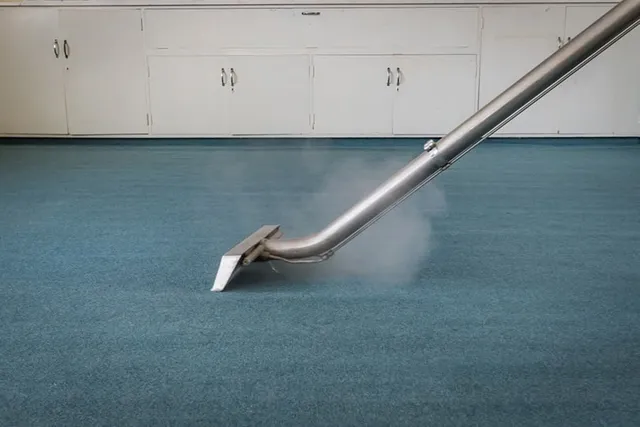 Will Steam Cleaning a Carpet Remove Cat Urine Smell? 4 Vet-Approved Sanitation Tips