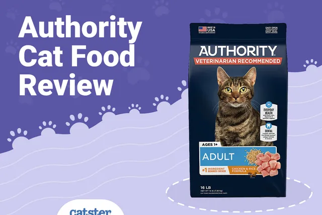 Authority Cat Food Review of 2026: Recalls, Pros & Cons