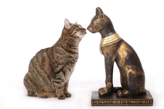 Why Did Egyptians Worship Cats? Interesting Historic Facts