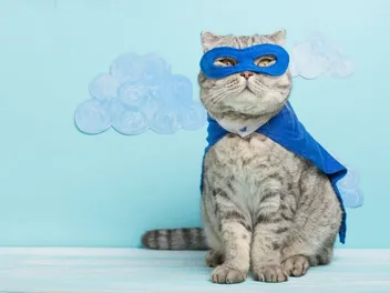 15 Amazing Comic Book Cats (With Pictures)