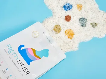 What Do the PrettyLitter Colors Mean? Explanation with Color Chart