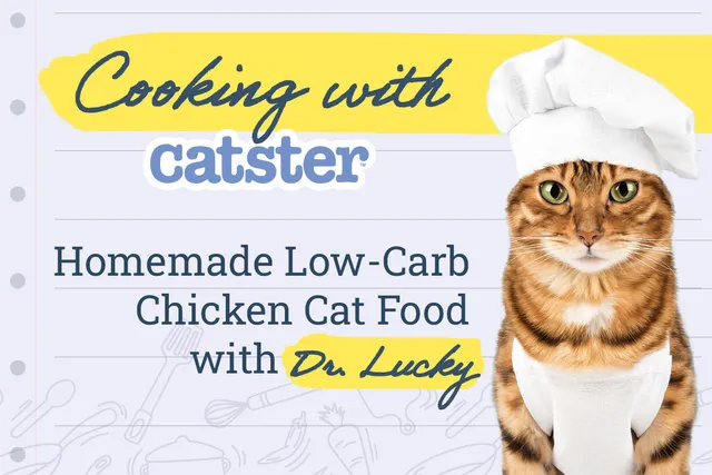 Homemade Low-Carb Chicken Cat Food Recipe: Dr. Lucky’s Meal Planning for Cats