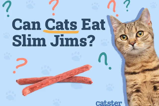 Can Cats Eat Slim Jims? Vet-Approved Nutritional Science & Alternatives