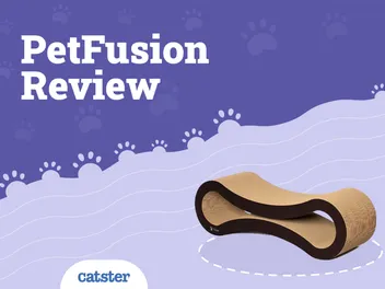 PetFusion Ultimate Cat Scratcher Lounge Review 2026: Pros, Cons, & Verdict