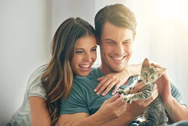4 Top Cat Dating Websites to Find the Purrfect Partner in 2026