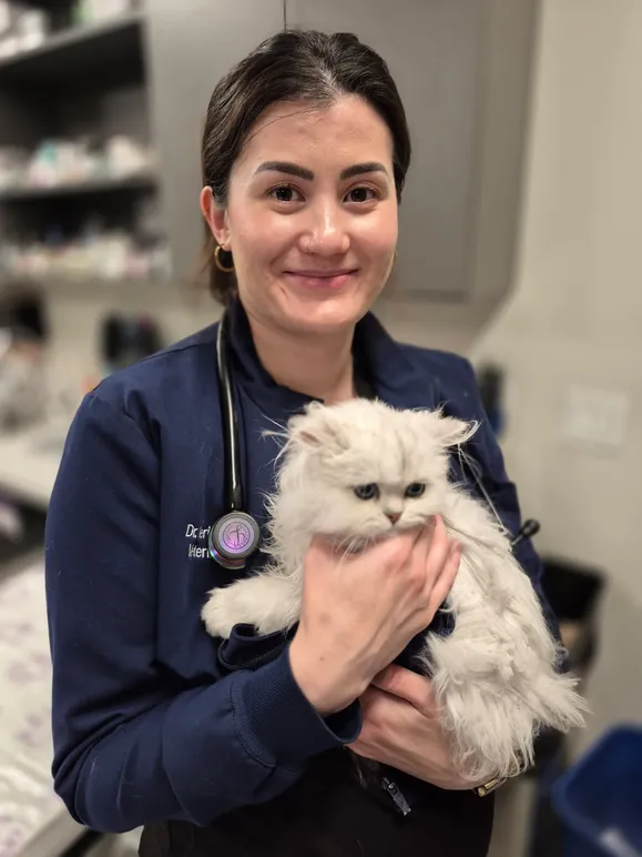 Dr. Jeri w kitten