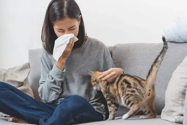 Can You Build Up an Immunity to Cat Allergies? Vet-Reviewed Tips & Facts