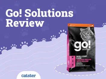 Go! Solutions by Petcurean Cat Food Review in 2026: Recalls, Pros & Cons