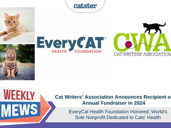 EveryCat Health Foundation Honored Recipient of Cat Writers’ Association Annual Fundraiser in 2024