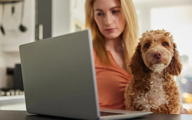 How to Get a Vet Prescription Online: 9 Steps & What to Expect