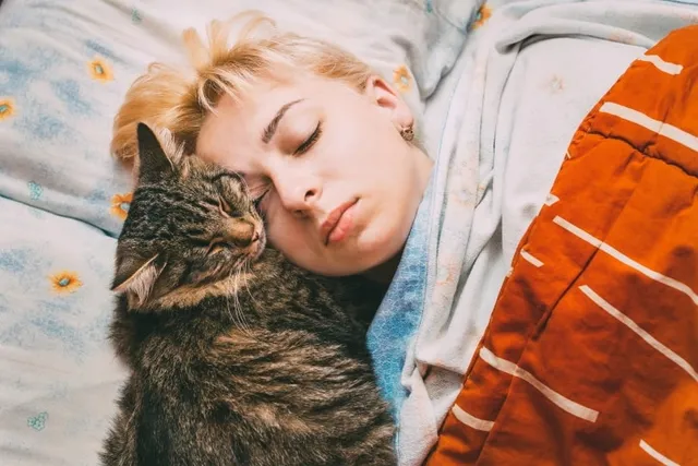Can a Cat Smell Human Hormones? Our Vet Explains the Science