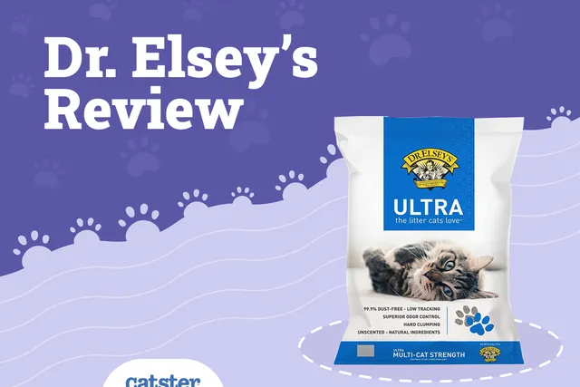 Dr. Elsey’s Cat Litter Review of 2026: Recalls, Pros & Cons