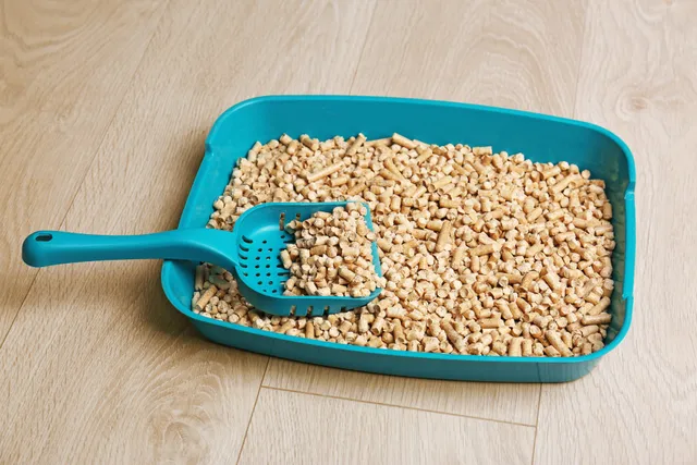 10 Cat Litter Alternatives: Vet-Verified Options (With Pros & Cons)
