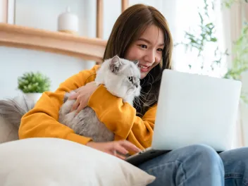 Can AI Tell When a Cat Is Happy? Interpreting Body Language Through Technology