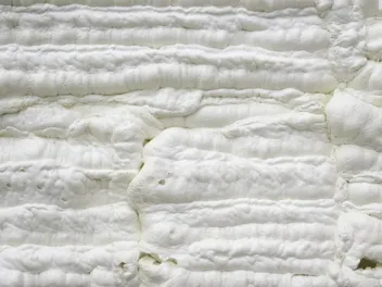 Will Insulation Hurt My Cat If They Touch It? Vet-Reviewed Prevention Tips & Safety Info
