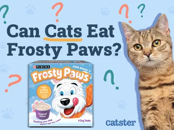Can Cats Eat Frosty Paws? Vet-Reviewed Nutritional Facts & FAQ