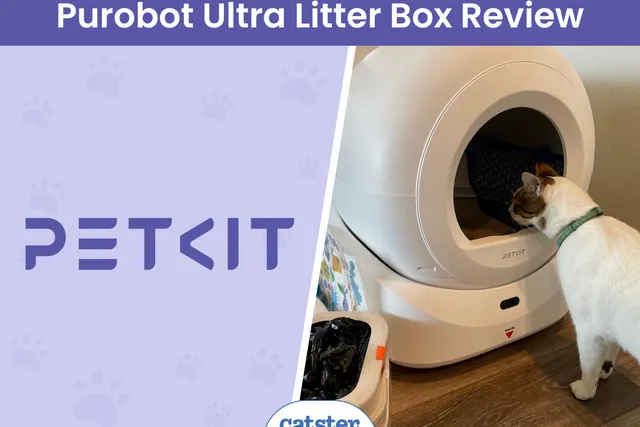 PETKIT Purobot Ultra Litter Box Review 2026: Our Hands-On Test