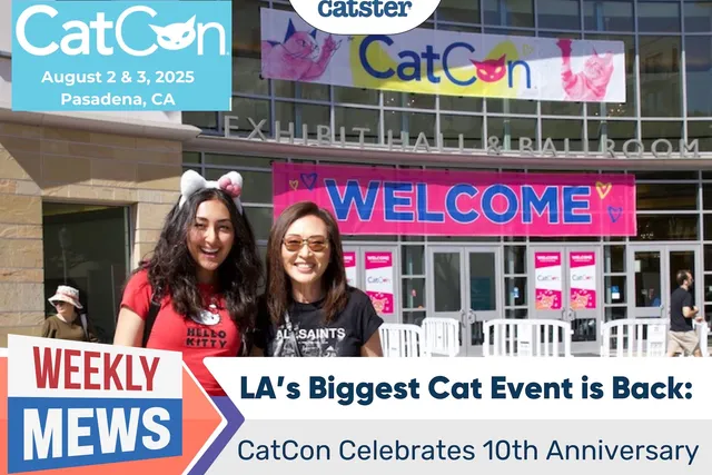 LA’s Biggest Cat Event is Back: CatCon Celebrates 10th Anniversary