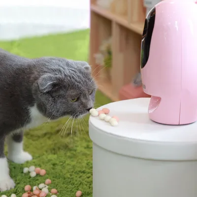 Pawbo Wi-Fi Interactive Pet Camera &amp; Treat Dispenser